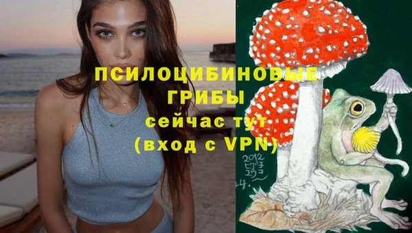 трава Балабаново