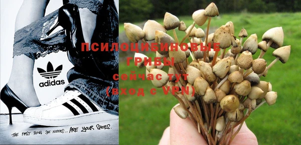 МДПВ Балахна