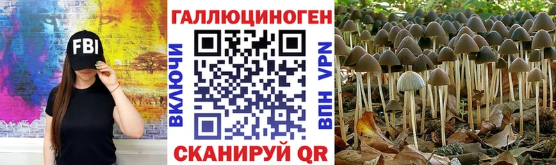 Галлюциногенные грибы ЛСД  сайты даркнета состав  Красный Холм  закладки 